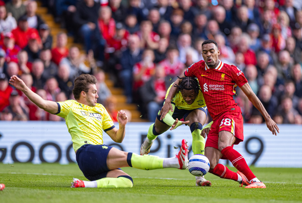 后场保护松 后场保护松